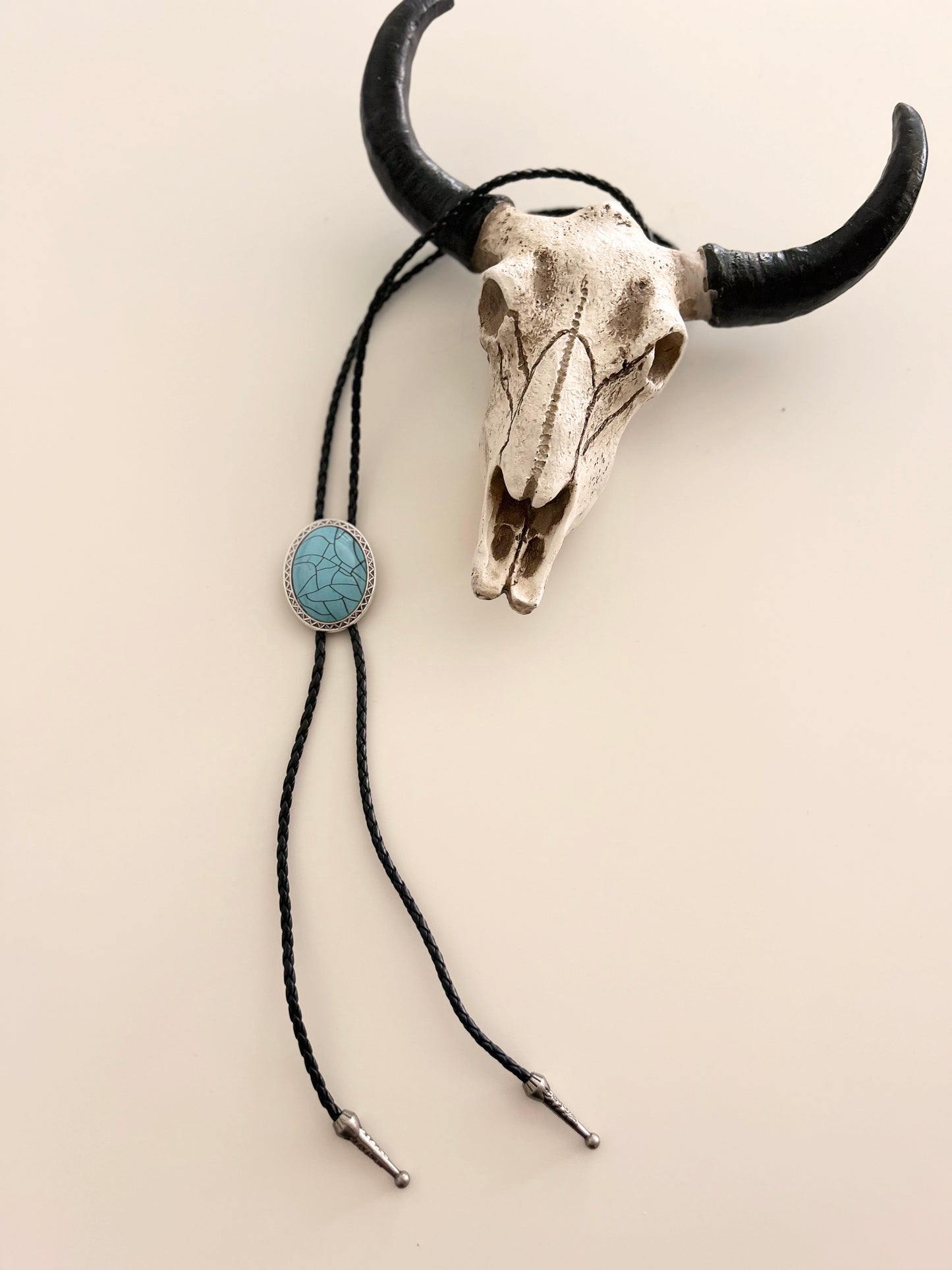 Assorted Silver Western Bolo Ties