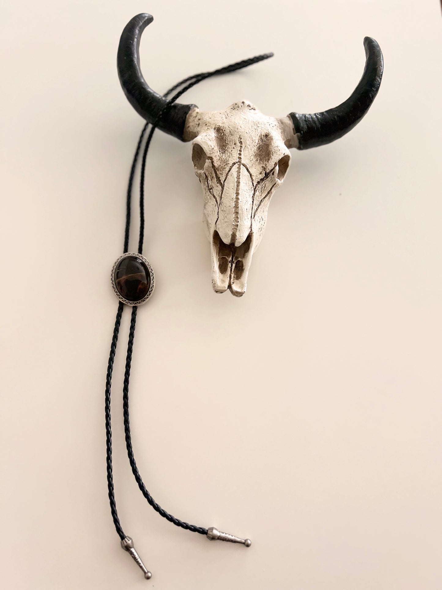 Assorted Silver Western Bolo Ties