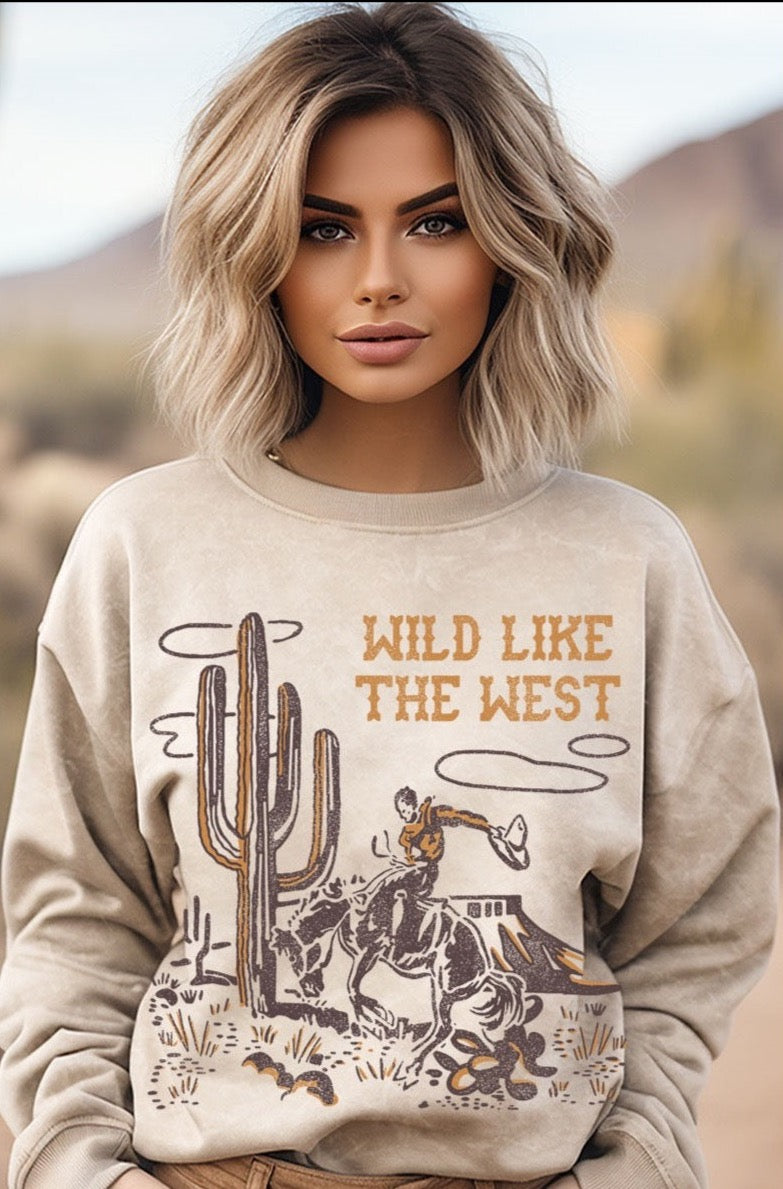 Wild Like the West Mineral Graphic Sweatwhirt